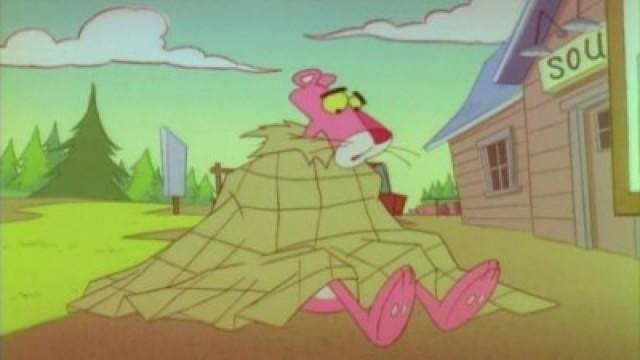 The Pink Painter