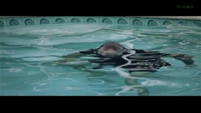 Bullets, Water & GoPros