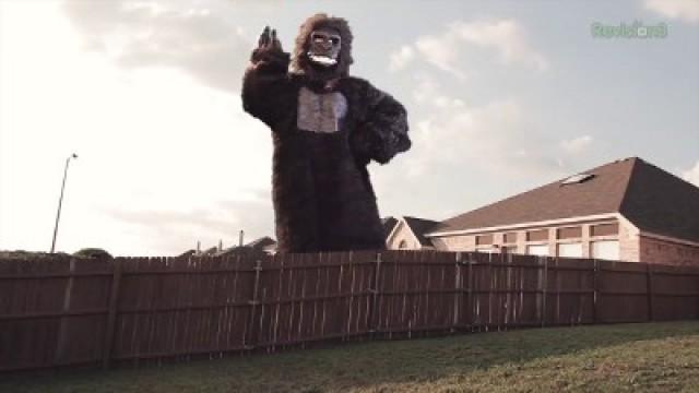 Film Continuity & Movie Mistakes!