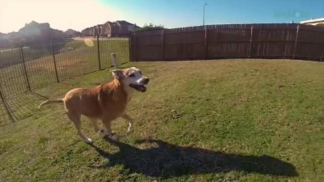 Slow-Mo with the GoPro!