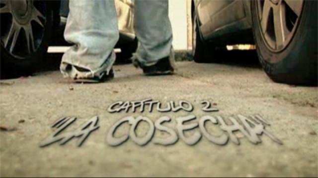 La Cosecha