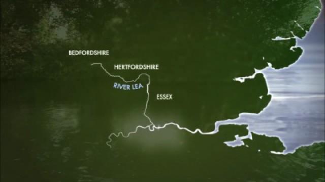 The Lea