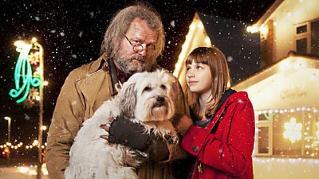 Mr Stink