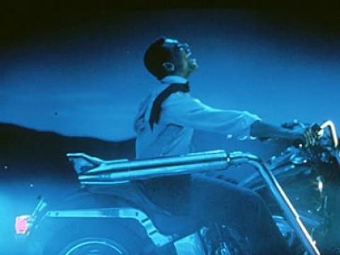 Vroom, Vroom, Vroom