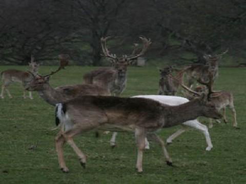 Derbyshire