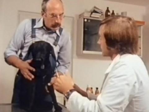 Peters Hund ist krank