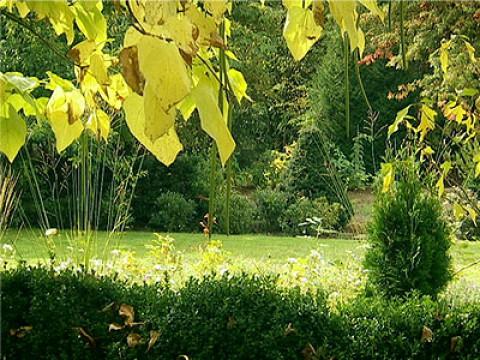 Zauberhafter Herbstgarten im Taunus