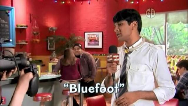 Bluefoot