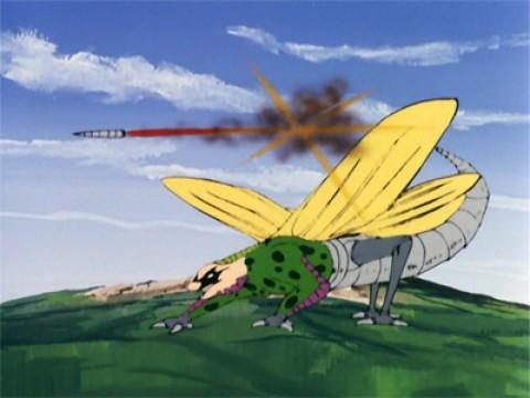 Alla conquista della terra