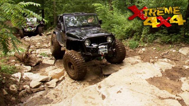 Budget TJ Part IV