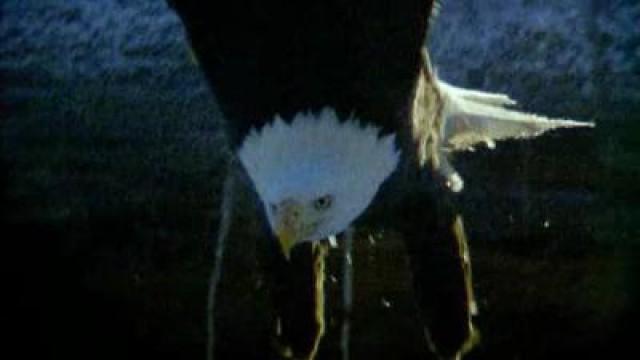 Alaska