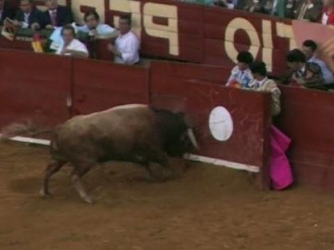 Europa: Corrida