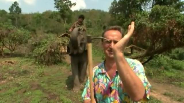 Tajlandia: Poganiacz słoni