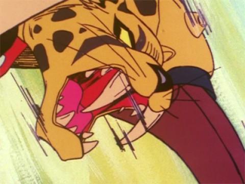 Le lacrime del Diavolo Giaguaro