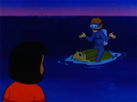De Nacht van de Schildpad