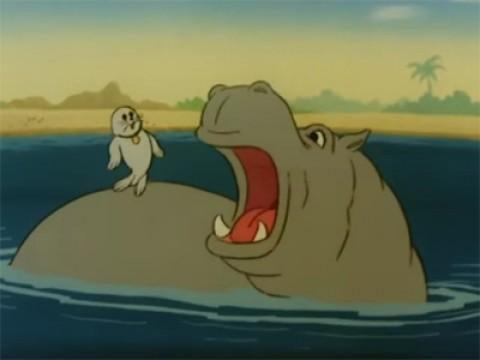 Op Safari