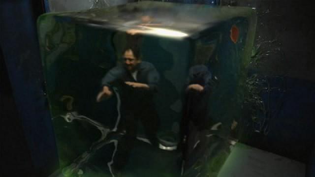 Taming of the Cube