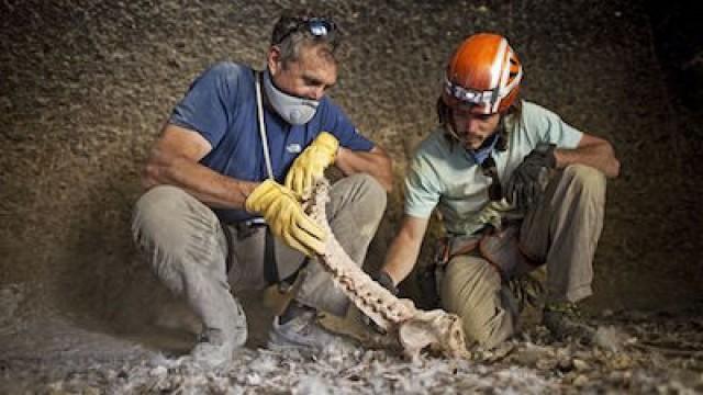 Cave People of the Himalaya