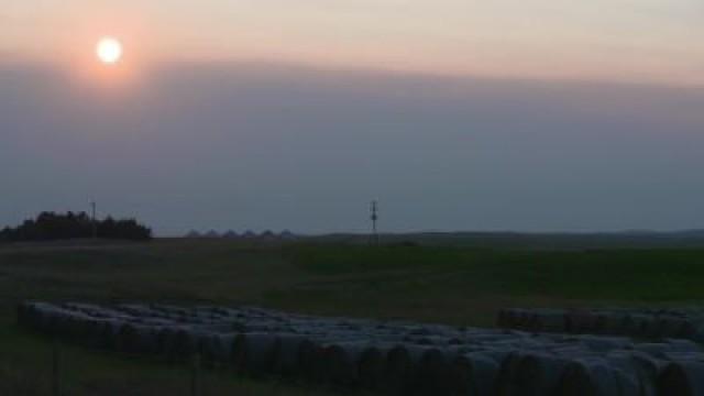 Savor: Nebraska Craft Wine