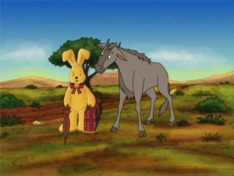 Auf Safari
