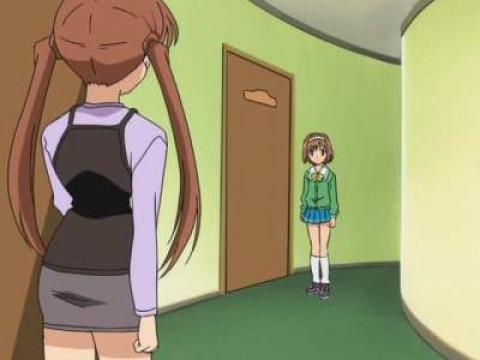 ¿Dónde está el señor Osito de Peluche?