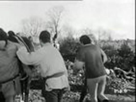 Pierre précieuse et perle fine