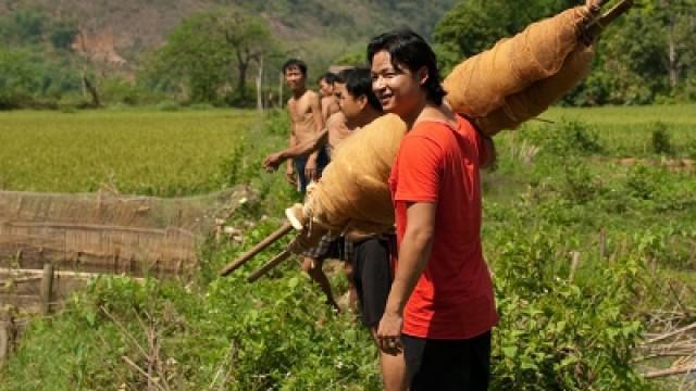 Mai Chau