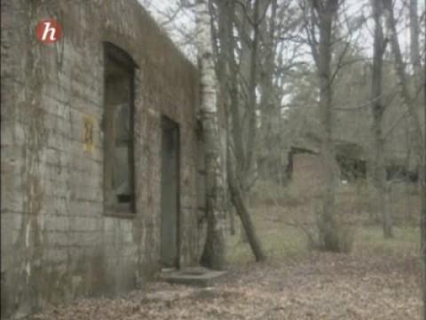 The Men Who Liberated Belsen