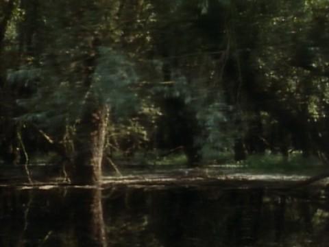 Danube - The Curtain Rises