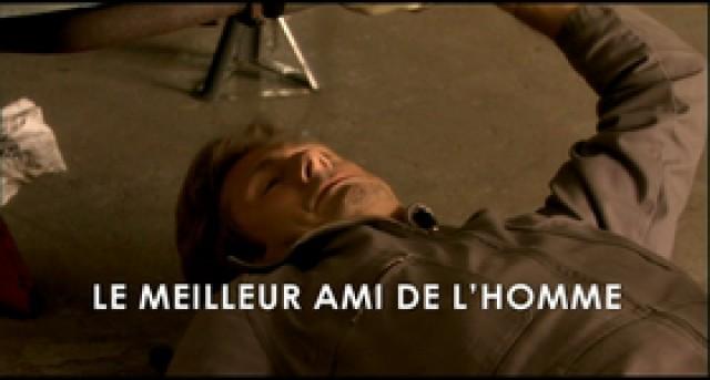 Le meilleur ami de l'homme