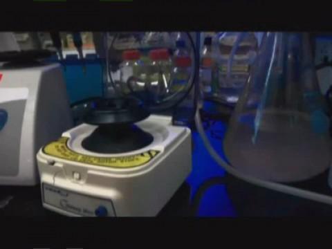 Creating Synthetic Life