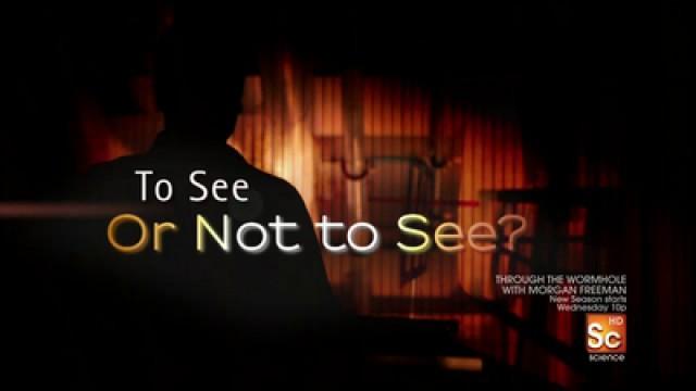 To See or Not To See?