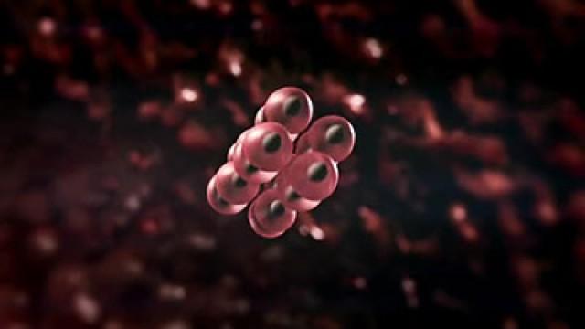 Stem Cell Universe with Stephen Hawking