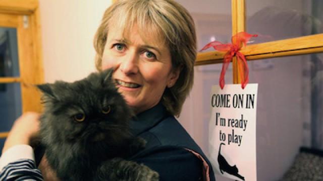 Cat Crazy: 90 Cats and Counting