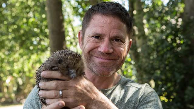 Meet the Hedgehogs