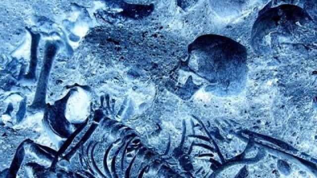 Secret Of The Severed Heads: Viking Apocalypse