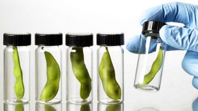 Farm to Pharma: The Rise and Rise of Food Science