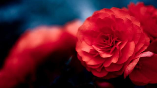 How to Write a Mills and Boon