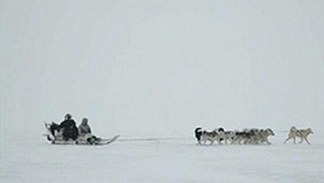Expedition ins ewige Eis - Alfred Wegener