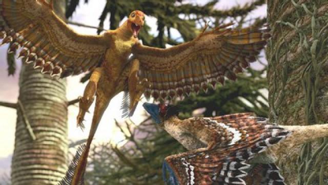 Der Dino-Planet (3): Gefiederte Drachen