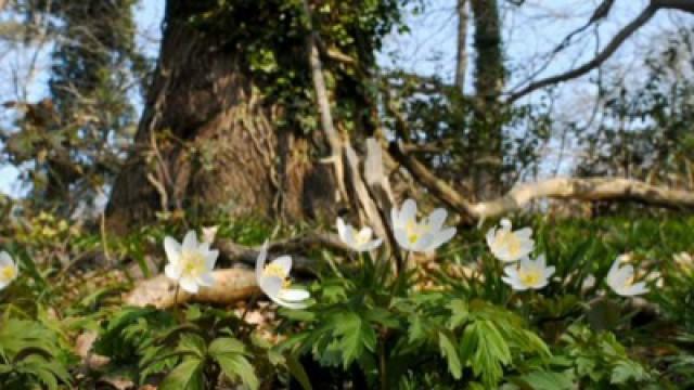 Die Macht der Jahreszeiten: Frühling & Sommer