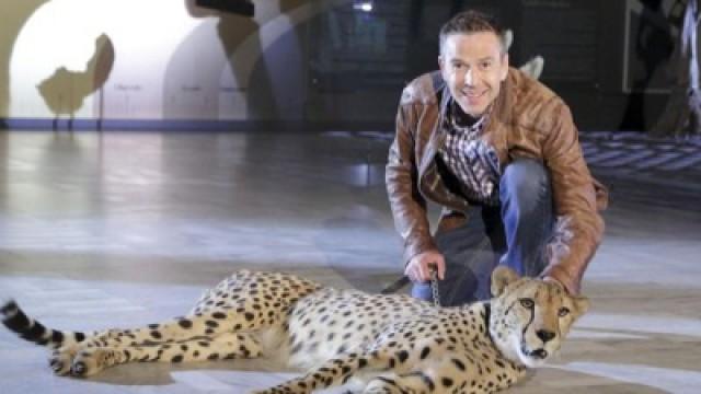 Supertiere (8): Riesen