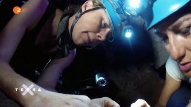 Sensationsfund Homo naledi: Auf der Spur der ersten Menschen