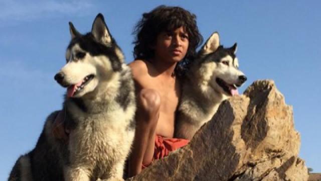 Mythos Wolfskind - Mogli und die wilden Kinder
