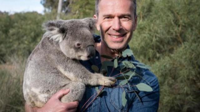 Faszination Erde (75): Australien - eine unendliche Geschichte