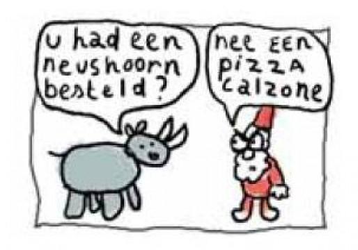 Neushoorn