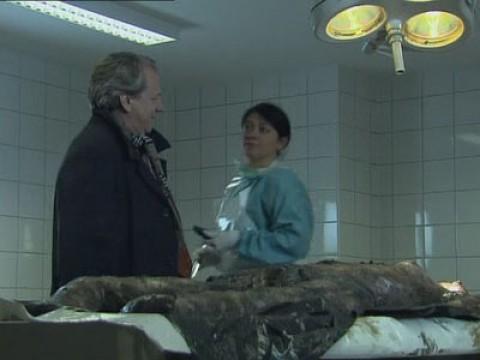 Regel van drie