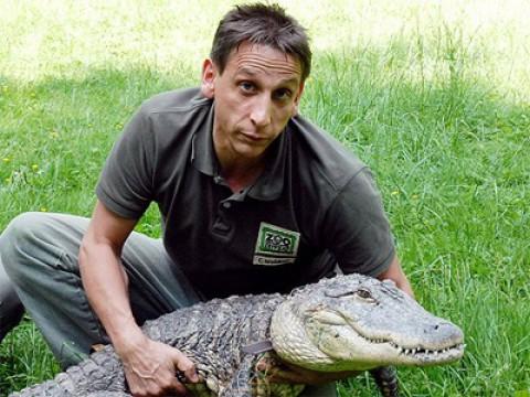 Der Kuss des Krokodils