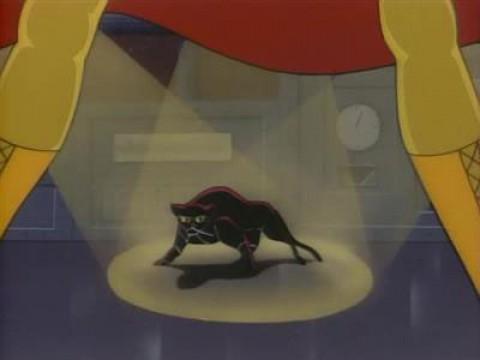 Il gatto nero
