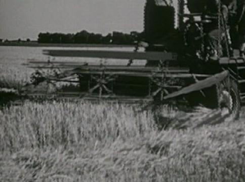 Der må være en grænse - 1945-1952
